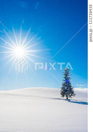 冬の美瑛の景色 冬の美瑛の景色 111738438