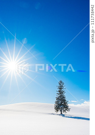 冬の美瑛の景色 111738442