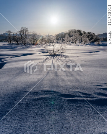 福島県北塩原村　檜原湖　冬の朝 111738911