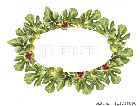 Branch of juicy, ripe figs with leaves and whole overripe fruit. Food, plant wreath, oval frame, template for jam label, card, price tag Hand drawn watercolor illustration Isolated on white background 111738990