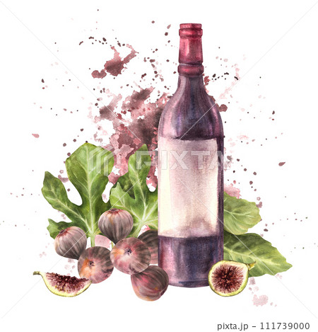 Branch of juicy, ripe purple figs with leaves, whole and cut fruit with bottle of red wine on watercolor stains splashes background. Clipart for card, label, price tag Hand drawn illustration Isolated Branch of juicy, ripe purple figs with leaves, whole and cut fruit with bottle of red wine on watercolor stains splashes background. Clipart for card, label, price tag Hand drawn illustration Isolated 111739000