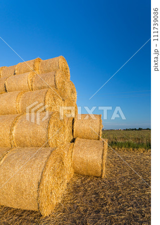 Piled hay bales on a field against blue sky Piled hay bales on a field against blue sky 111739086