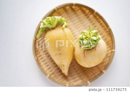 規格外野菜、出荷出来ない金カブ 111739275