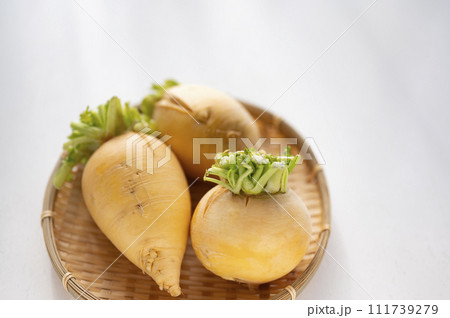 規格外野菜、出荷出来ない金カブ 111739279