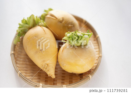 規格外野菜、出荷出来ない金カブ 111739281