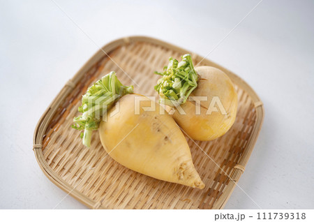 規格外野菜、出荷出来ない金カブ 規格外野菜、出荷出来ない金カブ 111739318