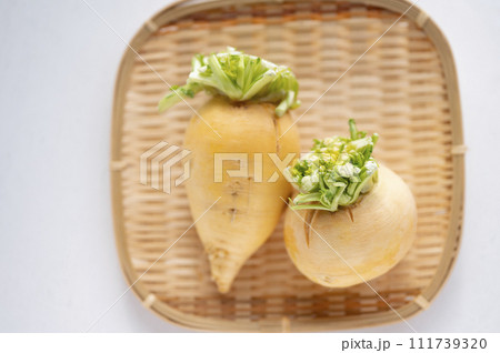 規格外野菜、出荷出来ない金カブ 規格外野菜、出荷出来ない金カブ 111739320