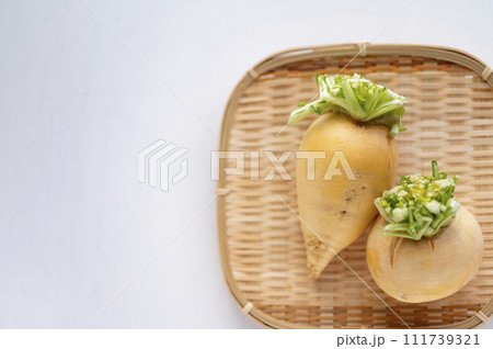 規格外野菜、出荷出来ない金カブ 規格外野菜、出荷出来ない金カブ 111739321