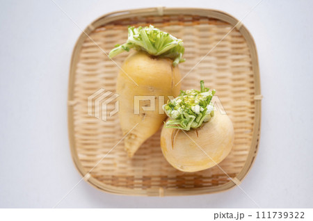 規格外野菜、出荷出来ない金カブ 規格外野菜、出荷出来ない金カブ 111739322