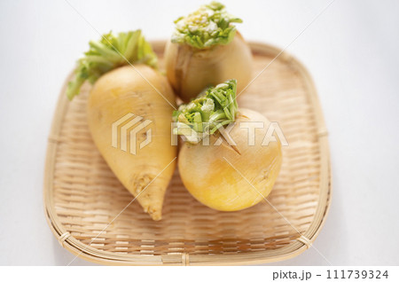 規格外野菜、出荷出来ない金カブ 111739324