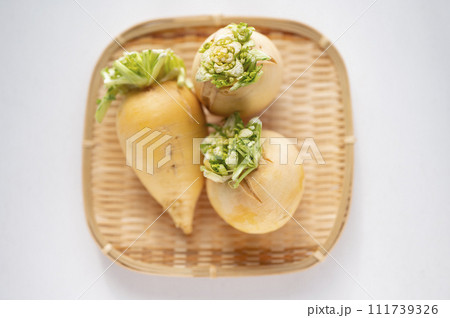 規格外野菜、出荷出来ない金カブ 111739326