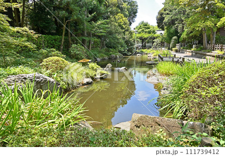 蕨宿散歩 中仙道蕨宿・和樂備神社 神池 蕨宿散歩 中仙道蕨宿・和樂備神社 神池 111739412