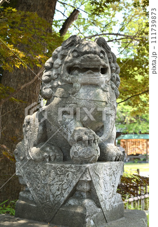 蕨宿散歩　中仙道蕨宿・和樂備神社　狛犬 111739873