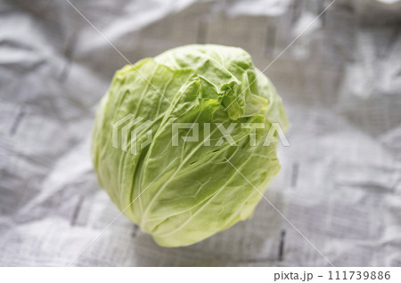 規格外野菜、出荷出来ないキャベツ 111739886