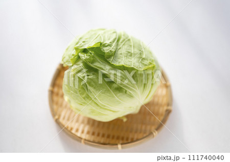 規格外野菜、出荷出来ないキャベツ 111740040