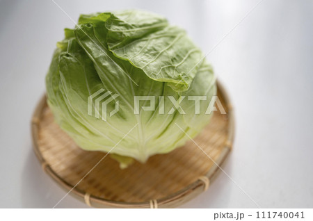 規格外野菜、出荷出来ないキャベツ 規格外野菜、出荷出来ないキャベツ 111740041