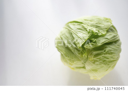 規格外野菜、出荷出来ないキャベツ 規格外野菜、出荷出来ないキャベツ 111740045