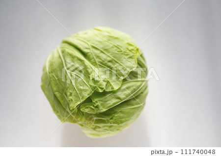 規格外野菜、出荷出来ないキャベツ 111740048