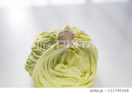 規格外野菜、出荷出来ないキャベツ 規格外野菜、出荷出来ないキャベツ 111740168