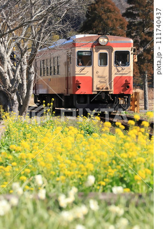 いすみ鉄道「花いっぱいの総元駅ホームから見た風景」 111740437