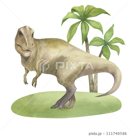 Watercolor illustration of a dinosaur Tyrannosaurus rex on green grass with palm trees, watercolor texture, handmade, isolated. For children's room decor, poster, invitation Watercolor illustration of a dinosaur Tyrannosaurus rex on green grass with palm trees, watercolor texture, handmade, isolated. For children's room decor, poster, invitation 111740586