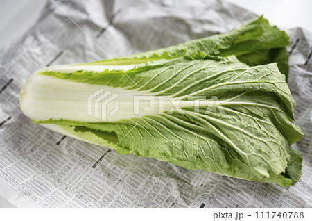 規格外野菜、出荷出来ないハクサイ 111740788