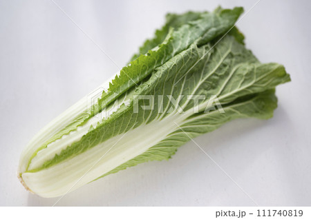 規格外野菜、出荷出来ないハクサイ 111740819