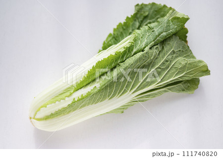 規格外野菜、出荷出来ないハクサイ 規格外野菜、出荷出来ないハクサイ 111740820