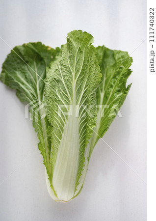 規格外野菜、出荷出来ないハクサイ 111740822