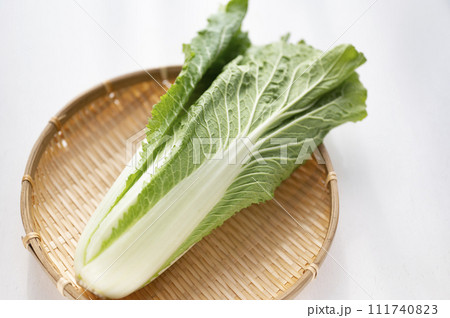 規格外野菜、出荷出来ないハクサイ 111740823