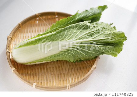 規格外野菜、出荷出来ないハクサイ 規格外野菜、出荷出来ないハクサイ 111740825