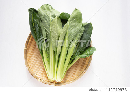 規格外野菜、出荷出来ない小松菜 規格外野菜、出荷出来ない小松菜 111740978