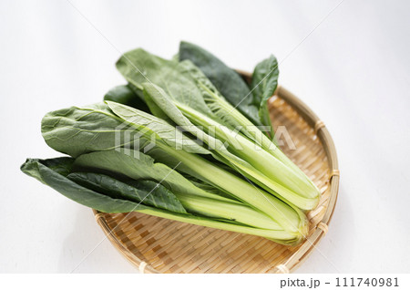 規格外野菜、出荷出来ない小松菜 111740981