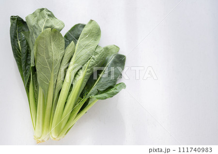 規格外野菜、出荷出来ない小松菜 111740983