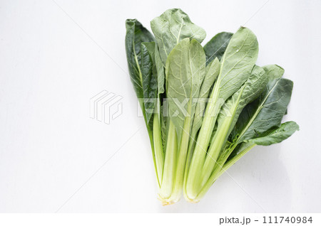 規格外野菜、出荷出来ない小松菜 111740984