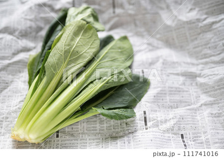 規格外野菜、出荷出来ない小松菜 規格外野菜、出荷出来ない小松菜 111741016