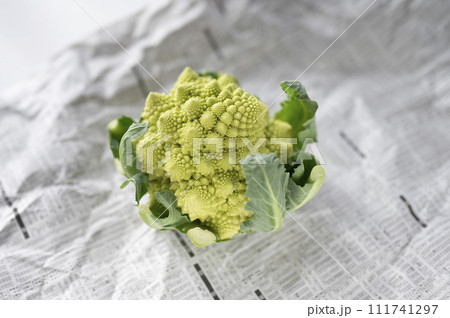 規格外野菜、出荷出来ないロマネスコ 111741297