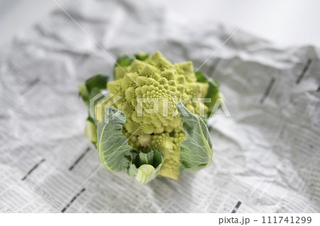規格外野菜、出荷出来ないロマネスコ 111741299