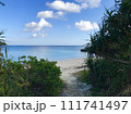 今帰仁の海 111741497