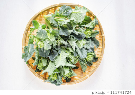 ブロッコリー間引き菜 ブロッコリー間引き菜 111741724