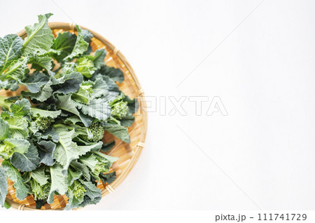 ブロッコリー間引き菜 111741729