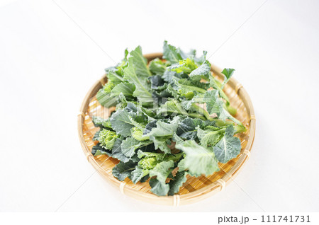 ブロッコリー間引き菜 ブロッコリー間引き菜 111741731