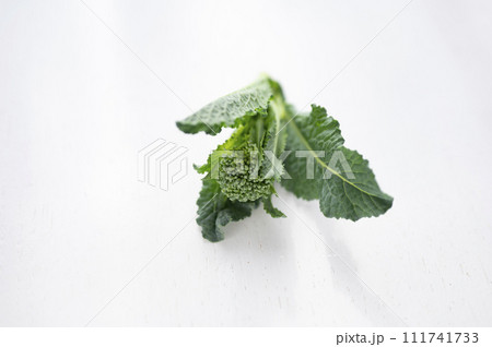 ブロッコリー間引き菜 111741733