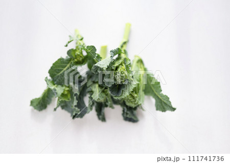 ブロッコリー間引き菜 111741736