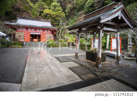 鎌倉242 荏柄天神社3　梅 111741812