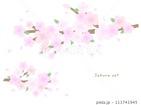 ピンクの桜の木の枝とさくら、おしゃれな手描きイラスト 111741945