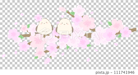 Long-tailed tit perching on a cherry blossom branch, cute hand-drawn illustration 111741946