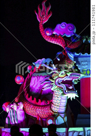 龍 竜 ドラゴン 111741981