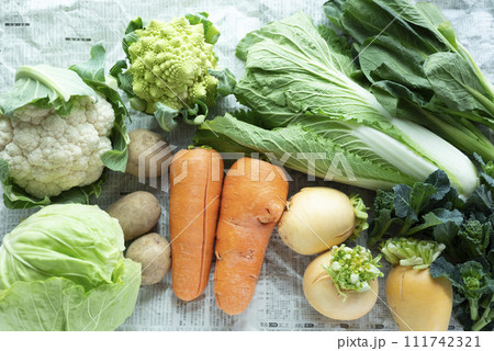 規格外野菜、 規格外野菜、 111742321