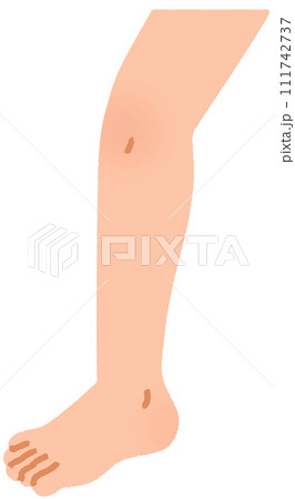 足 足 111742737